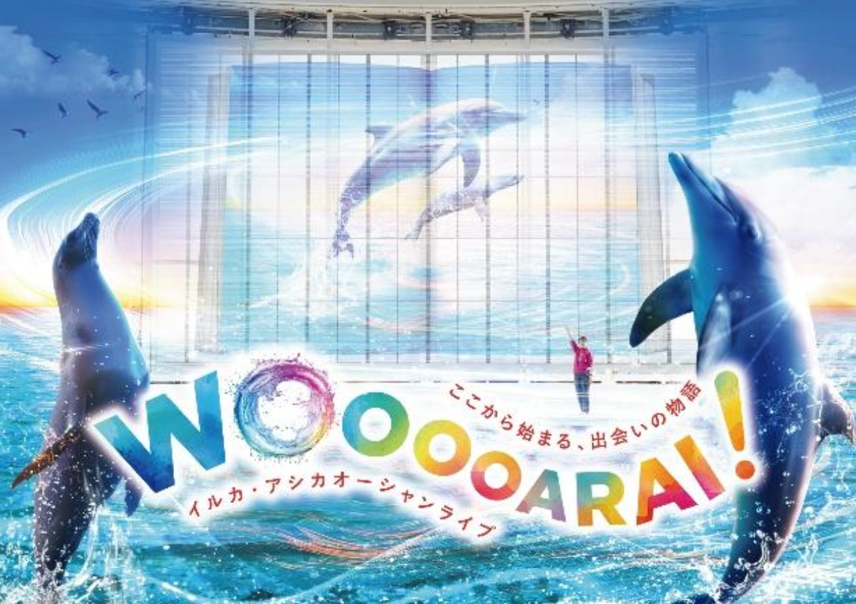 夏休み必見！笑って・学んで・涼んで・びしょ濡れになって、生きものたちと一緒に夏の思い出づくり アクアワールド・大洗で、とびっきりの夏を楽しもう！