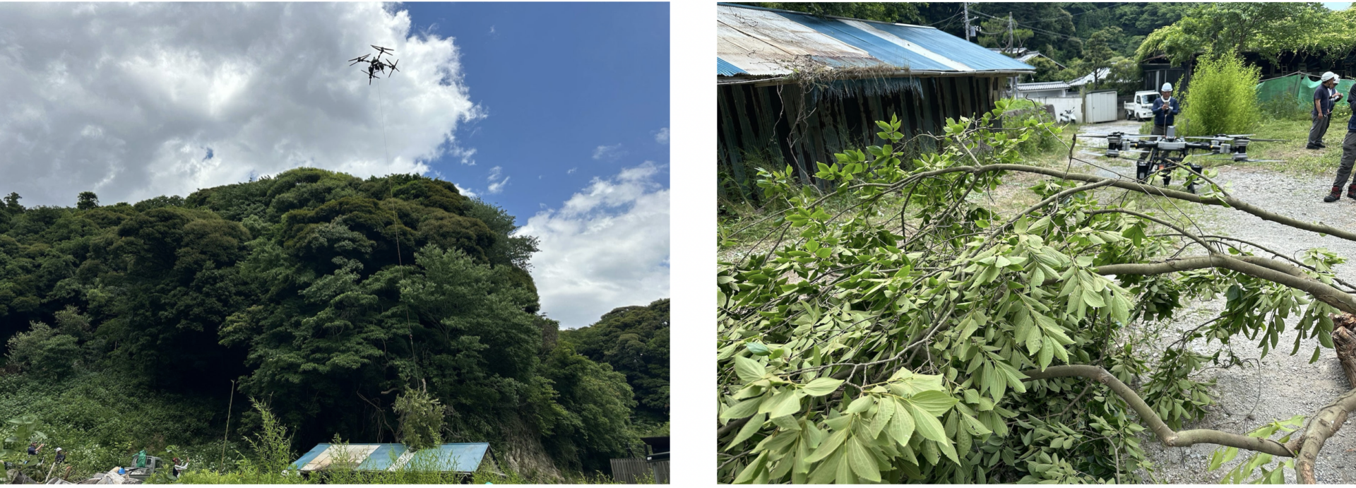 ドローンで伐採木を直接吊り上げ運搬、神奈川県鎌倉市で高木特殊伐採を実施　～「下に落とせない」現場を、空から解決する～